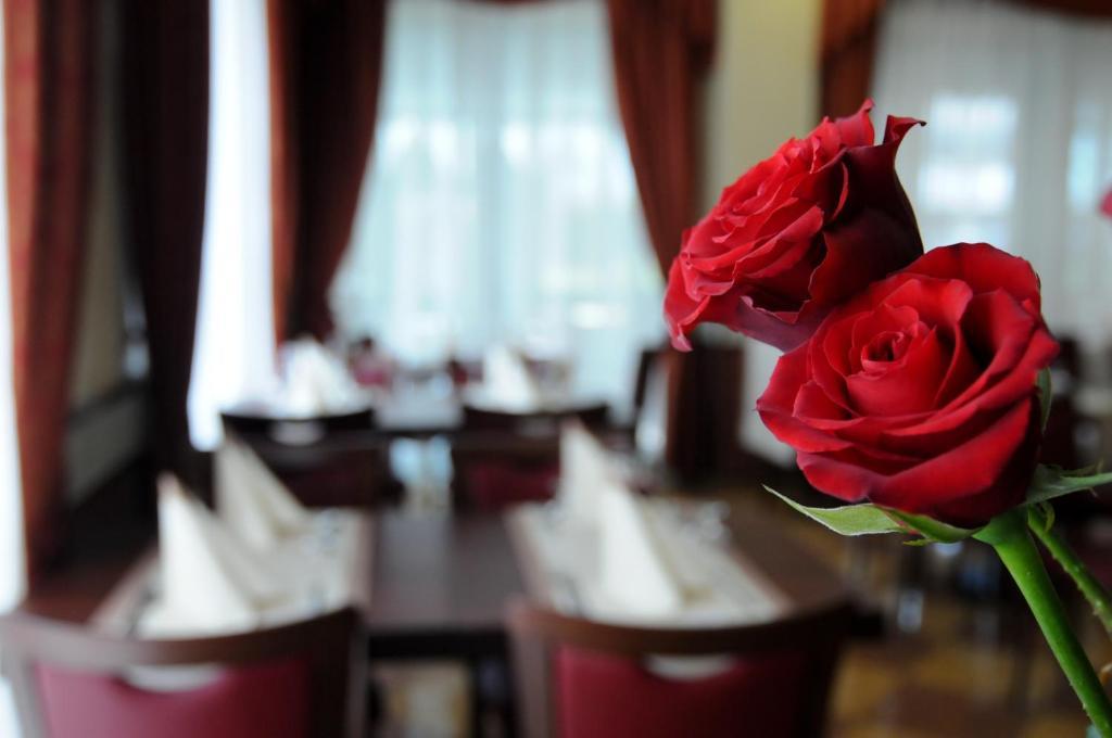 Hotel Dei Platani Rimini Zewnętrze zdjęcie