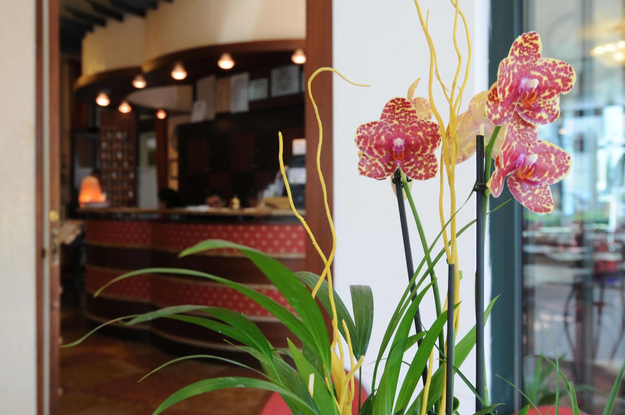Hotel Dei Platani Rimini Zewnętrze zdjęcie