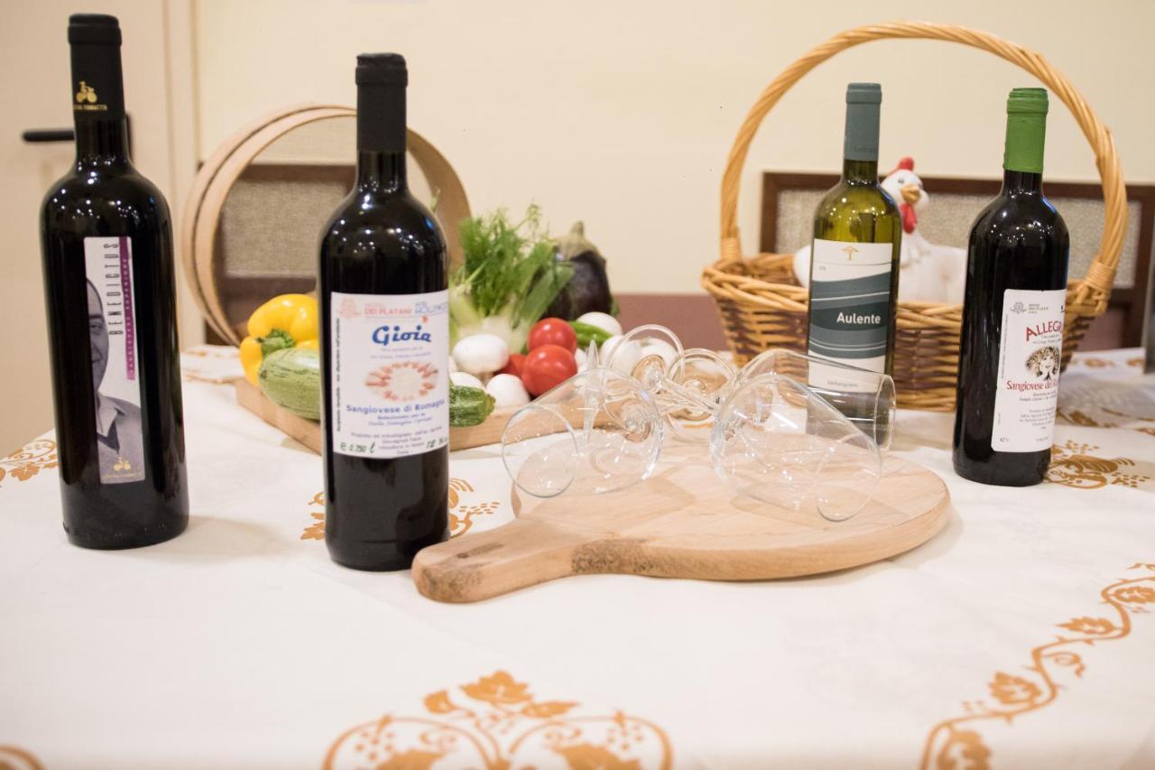Hotel Dei Platani Rimini Zewnętrze zdjęcie